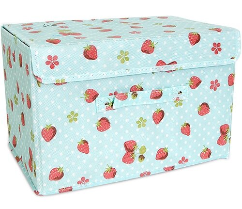 Blue Storage Box With Strawberrys Kawaii Interior