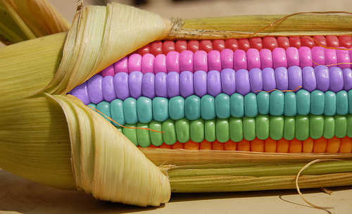 Rainbow Corn Rainbow Photoshop Effects Kawaii Blogging Rainbow