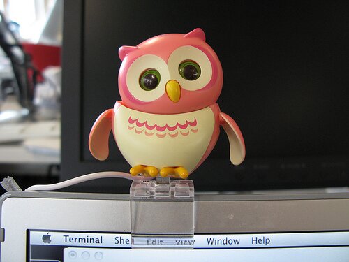 USB Owl In Pink Kawaii Gadget Blog